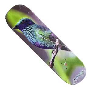 Pinchiputiza Colibri Tabla 8.25